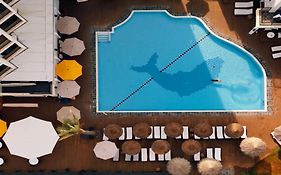 Jacob Sea Life Nahariya